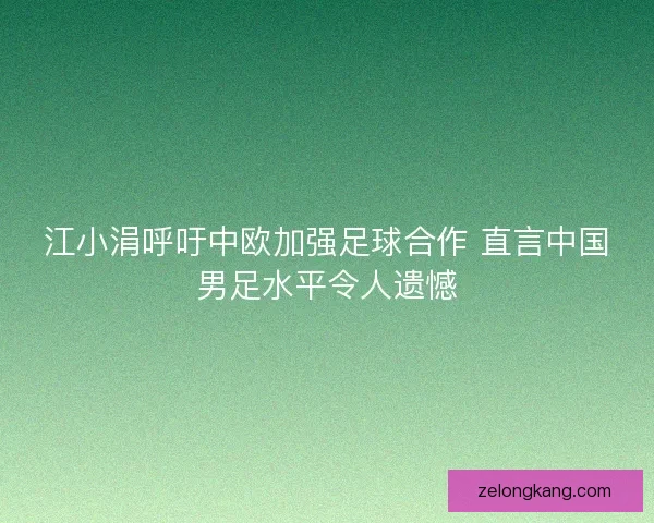 江小涓呼吁中欧加强足球合作 直言中国男足水平令人遗憾